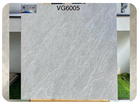 Gạch Viglacera Kt 60x60cm VG6005